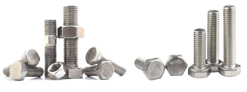 202 Stainless Steel Fastener Manufacturer in India