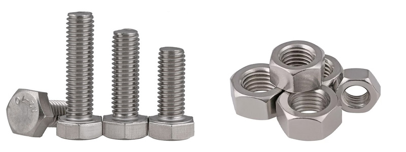 310 Stainless Steel Fastener Manufacturer in India